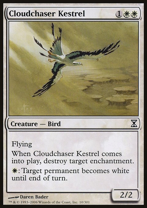 Cloudchaser Kestrel